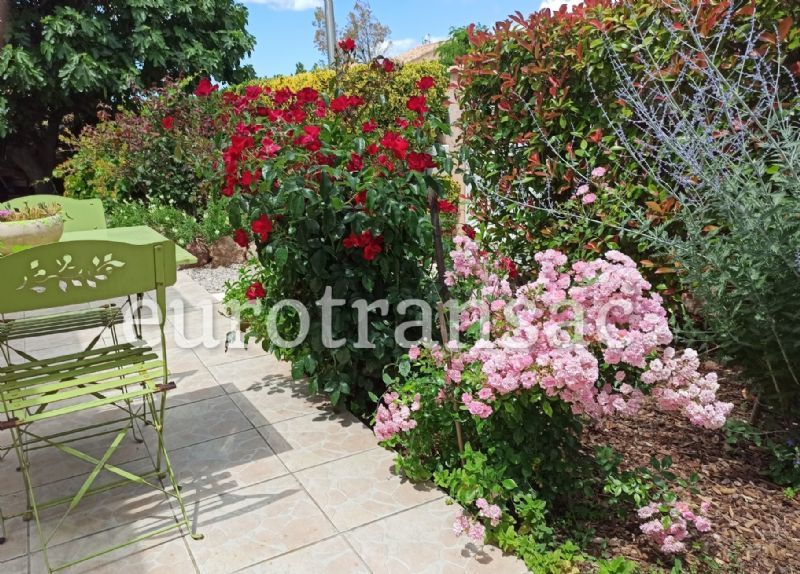 MONTAGNAC - Villa plain-pied 3 chambres avec piscine dans un quartier résidentielNL26001