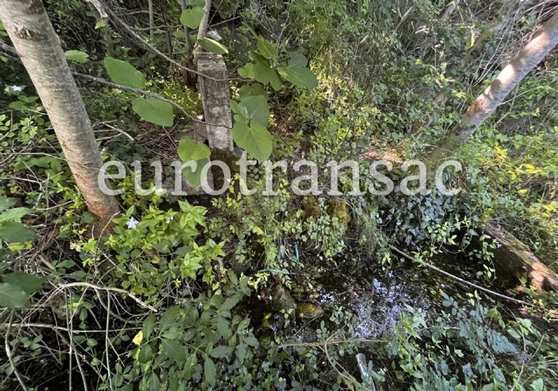 SAINT-PARGOIRE - Joli endroit de détente entre rivière, vignes et bois.NL25024