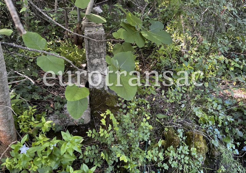 SAINT-PARGOIRE - Joli endroit de détente entre rivière, vignes et bois.NL25024