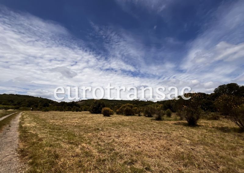 CABRIALS - Terrain agricole de 5440 m²NL25048