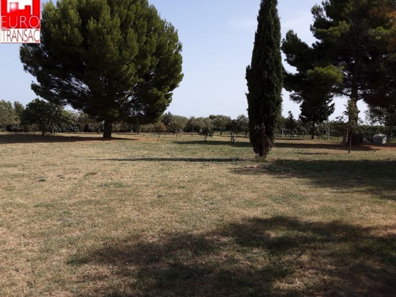 SOUS COMPROMIS - MEZE - UNIQUE SUR LE SECTEUR VILLA SUR 11310M² DE TERRAIN AVEC VUE ETANG - EXCLUSIVITÉBV21100