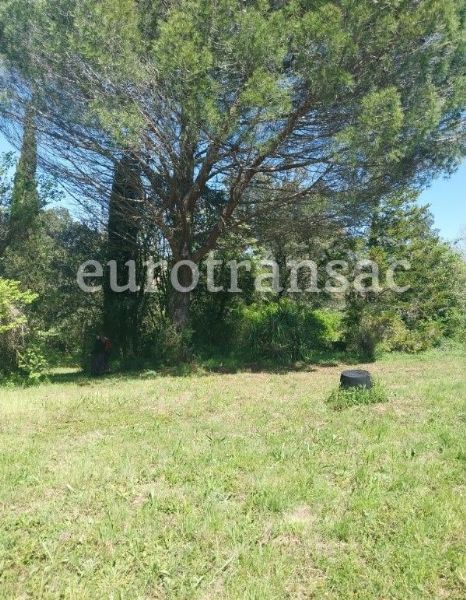 SAINT-PARGOIRE - Joli endroit de détente entre rivière, vignes et bois.NL25024