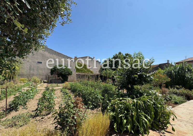SERVIAN - Vaste maison vigneronne sur un terrain de 1580 m² entre Béziers et Pézenas NL25032