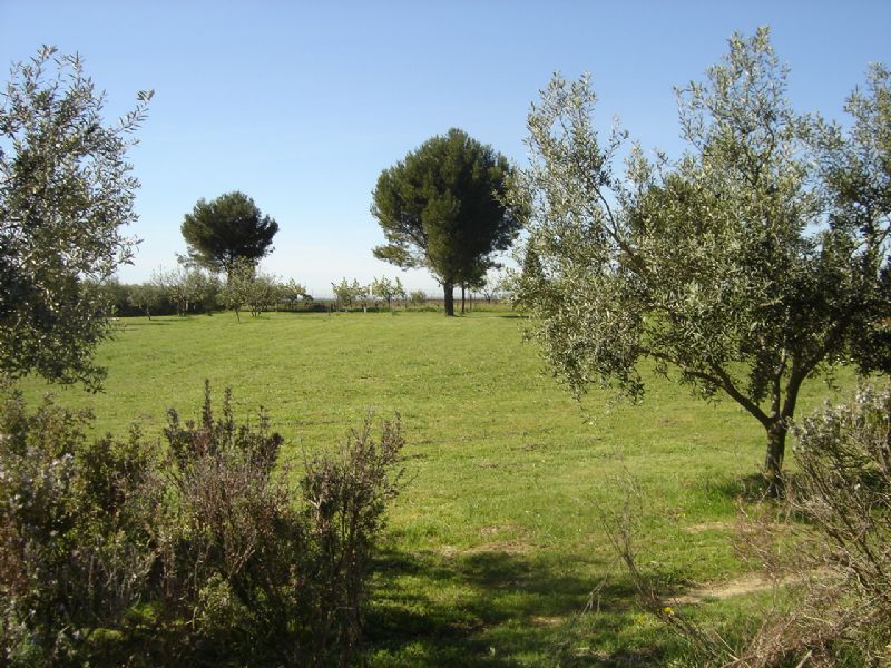 SOUS COMPROMIS - MEZE - UNIQUE SUR LE SECTEUR VILLA SUR 11310M² DE TERRAIN AVEC VUE ETANG - EXCLUSIVITÉBV21100