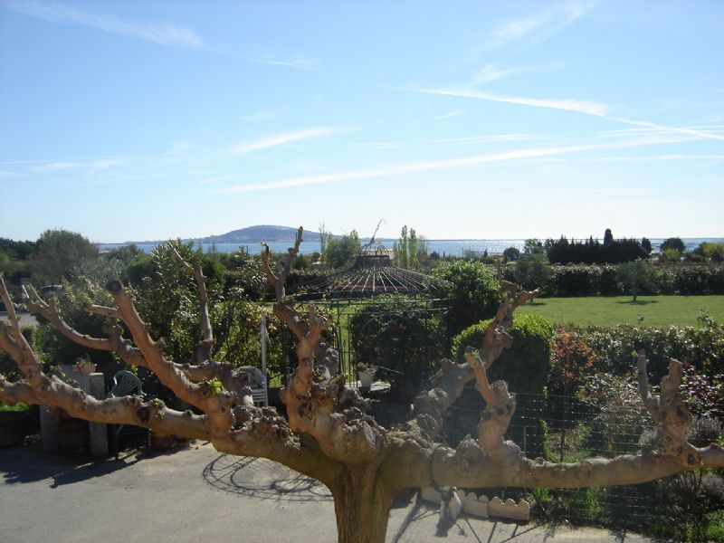 SOUS COMPROMIS - MEZE - UNIQUE SUR LE SECTEUR VILLA SUR 11310M² DE TERRAIN AVEC VUE ETANG - EXCLUSIVITÉBV21100