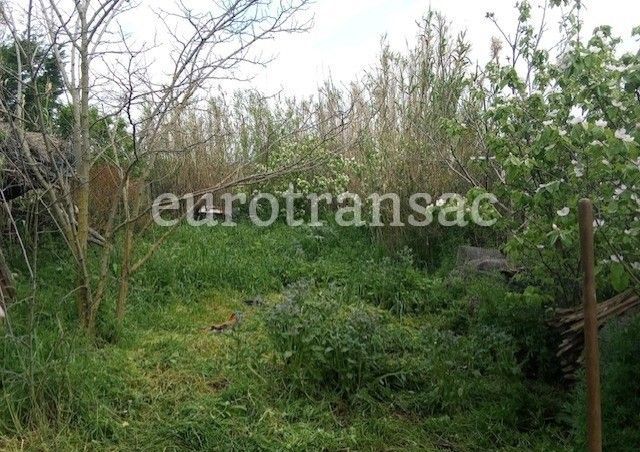 Terrain agricole de 6640 m²NL24025