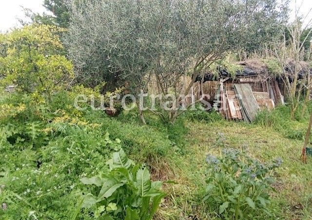 Terrain agricole de 6640 m²NL24025