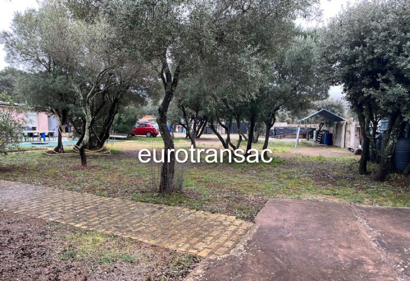 BALARUC LE VIEUXBBS2612