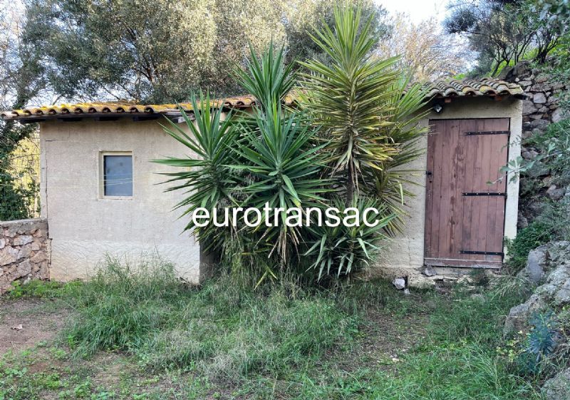 BALARUC LES BAINSBV24046