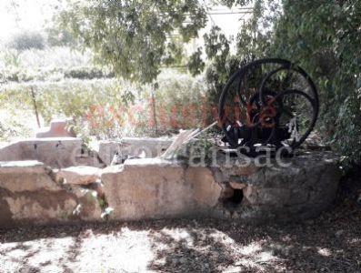 EXCLUSIVITE - Nézignan l'Evêque : Beau jardin avec l'eau, entre campagne et village.