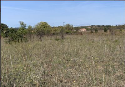 agricultural plots