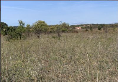 Terrain agricole