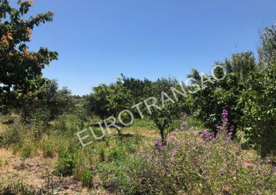 Terrain agricole de 6640 m²