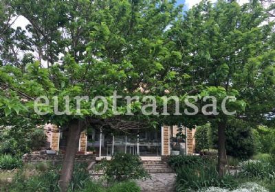 Entre Pézenas et Mèze - Villa de 175 m² avec piscine sur terrain arboré